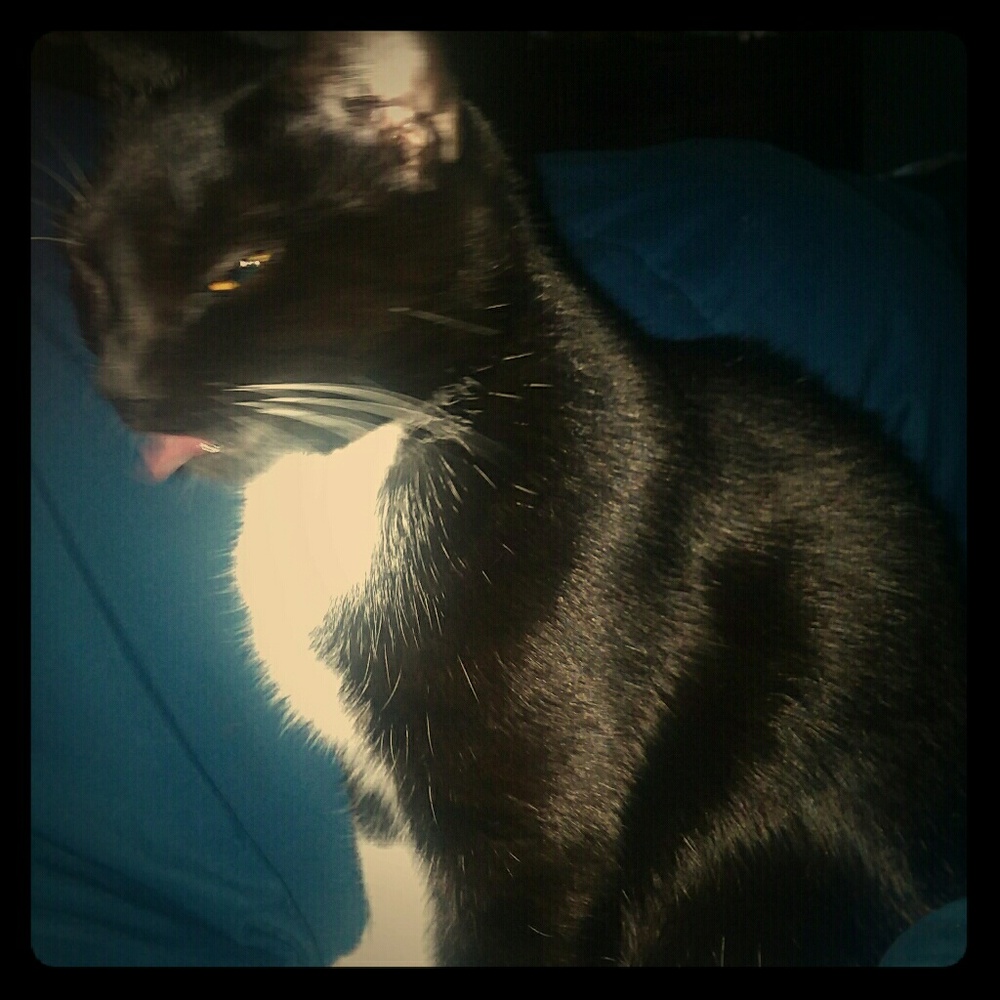 Meet your Posher, Penni